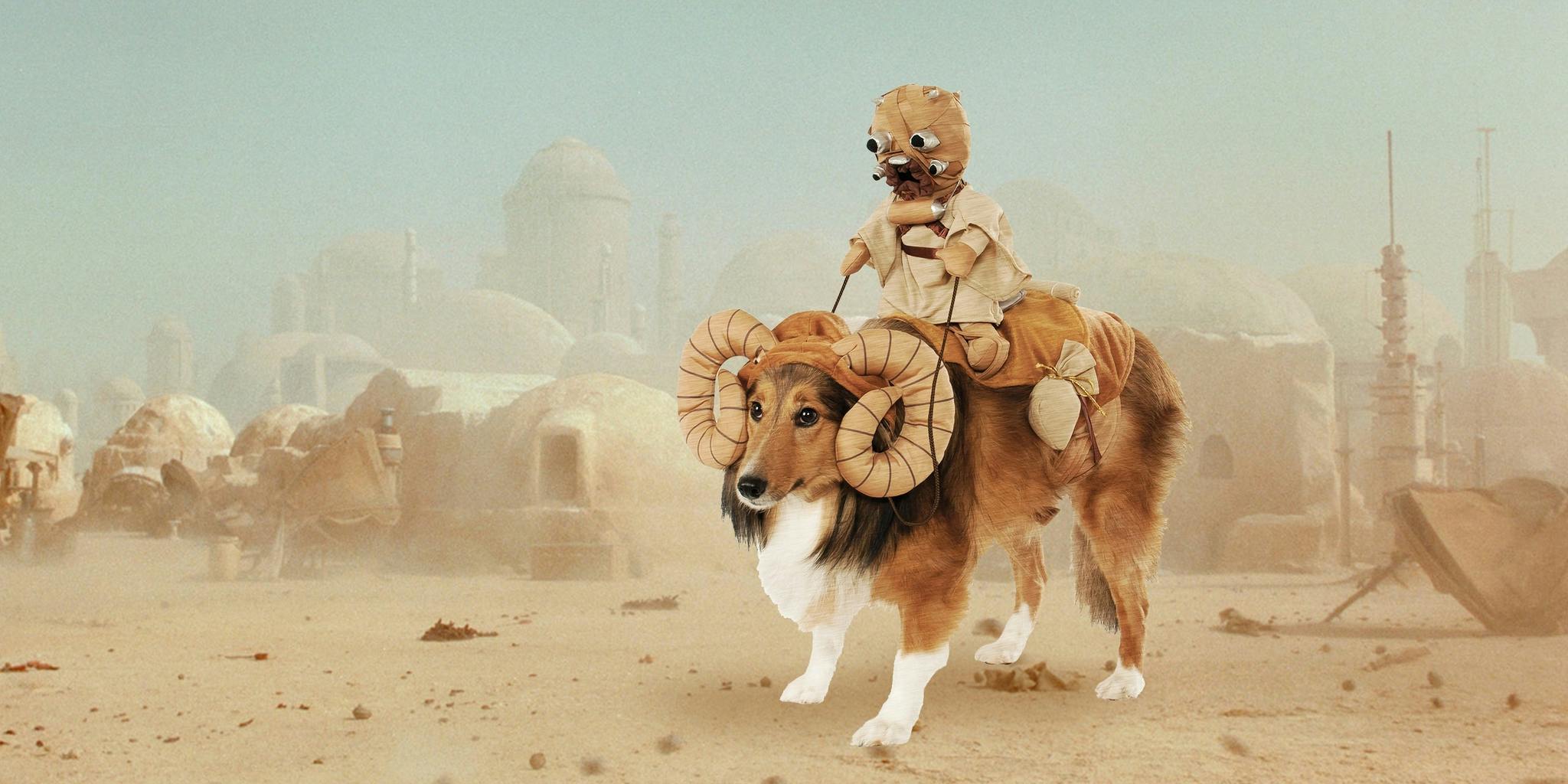 Rubies Star Wars Bantha Fodder Tatooine Pet Dog Halloween Costume 886583